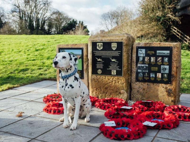 Squadron mascot dog with memorial