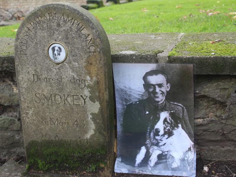 Picture of Smokey's grave