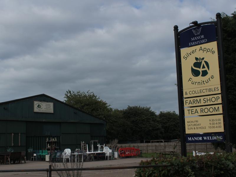 Silver Apple in Buckminster
