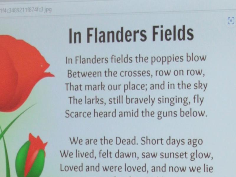 Inspired by a Poppy
