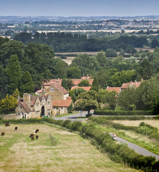 Denton