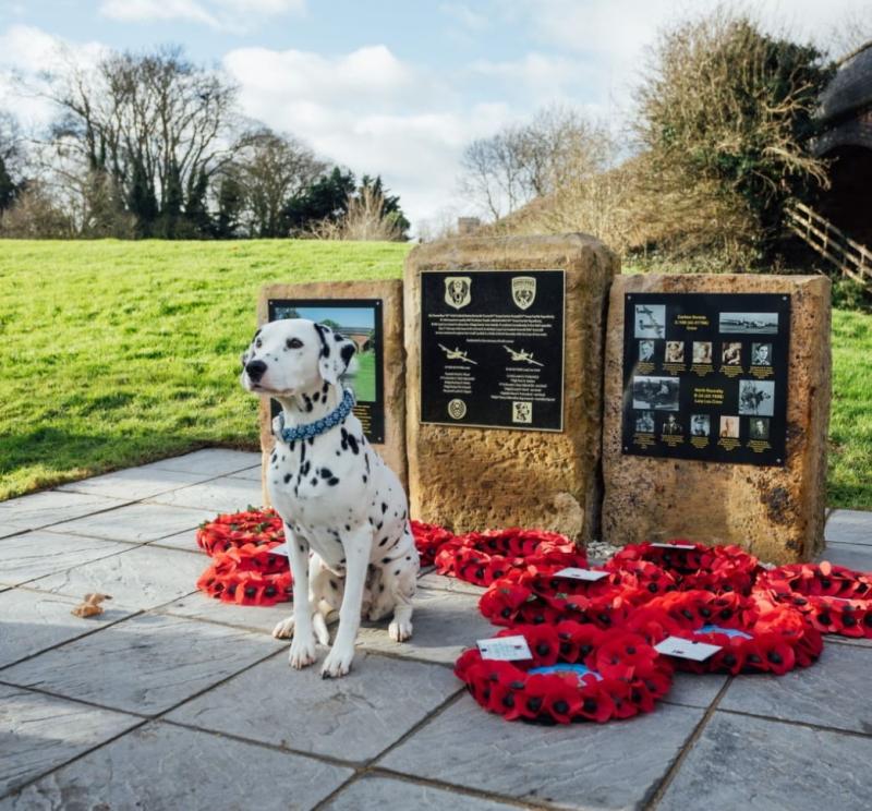 Squadron mascot dog with memorial