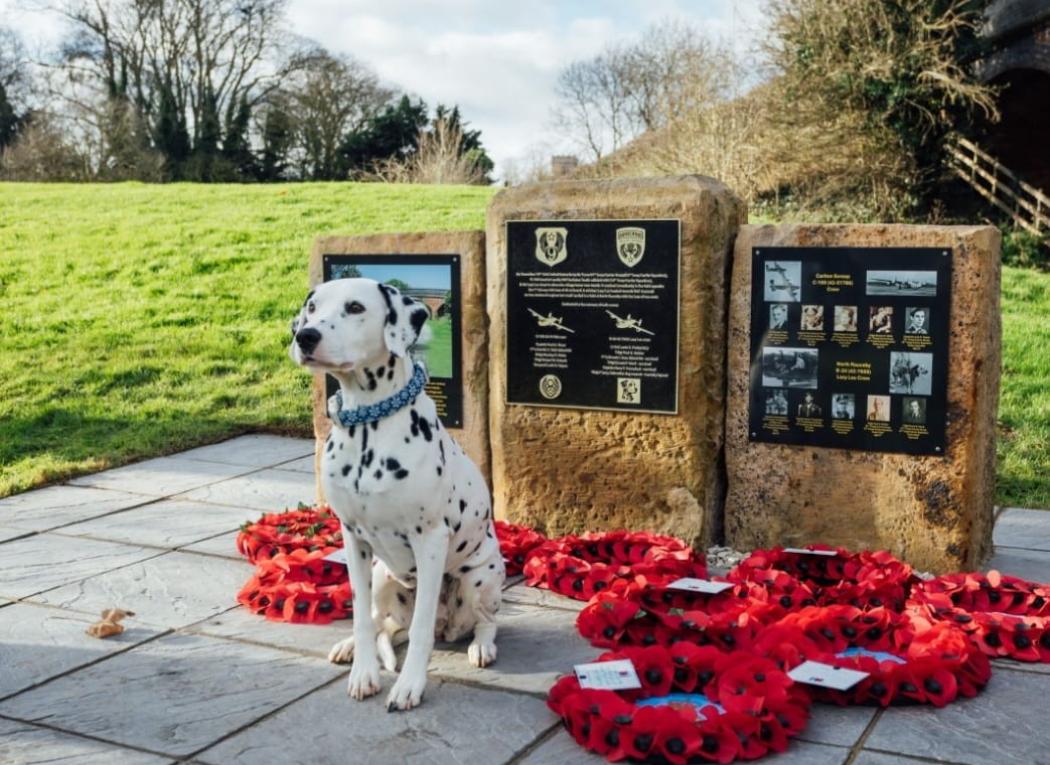 Squadron mascot dog with memorial