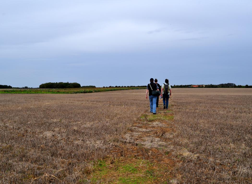 Ropsley Heath